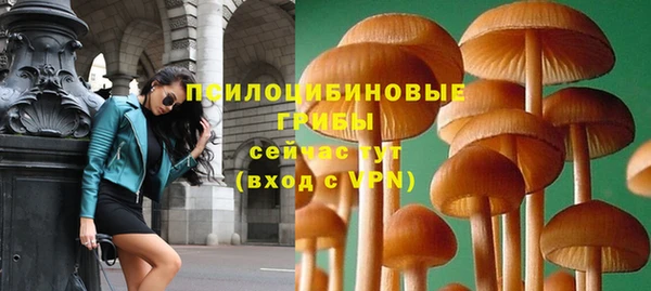 ALPHA PVP Покачи