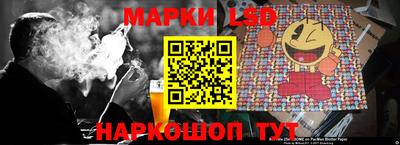 крисы Аргун