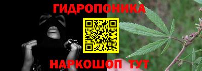 крисы Аргун