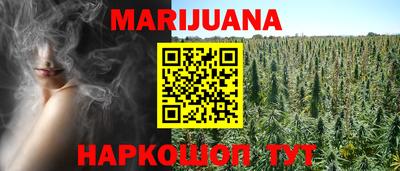 крисы Аргун