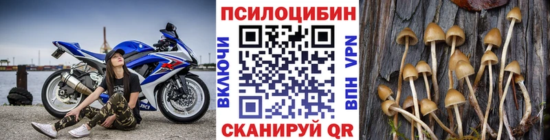 darknet официальный сайт  Богородск  Галлюциногенные грибы ЛСД 