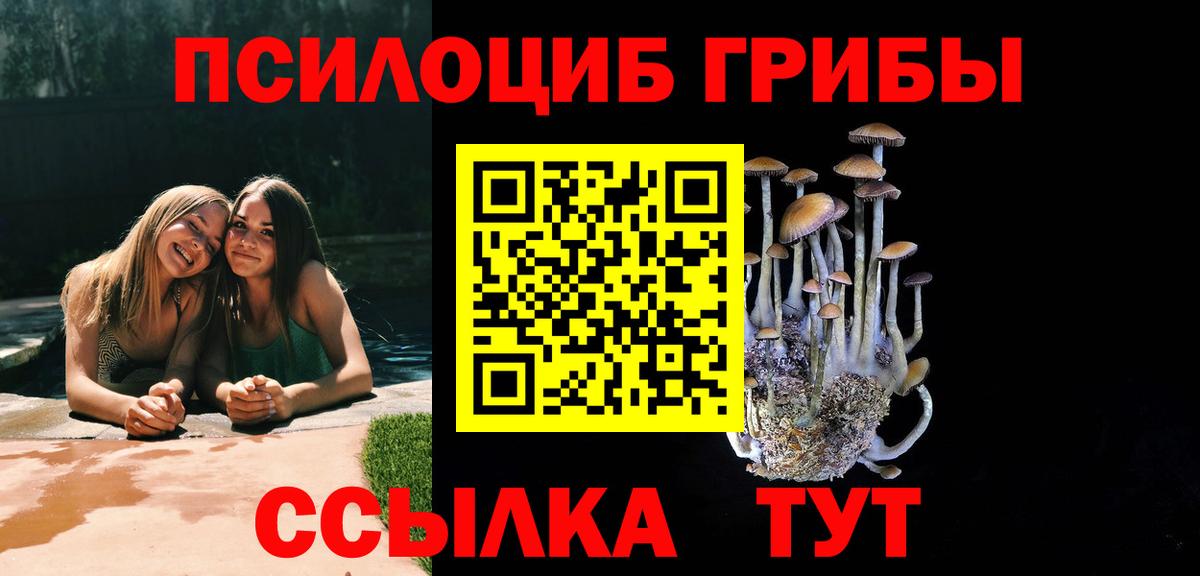 Псилоцибиновые грибы мухоморы  где купить наркоту  Богородск  Псилоцибиновые грибы мицелий 