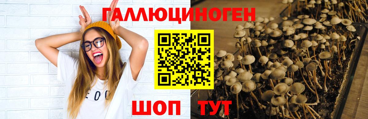 наркотики  Вход с VPN  Богородск  Галлюциногенные грибы GOLDEN TEACHER 