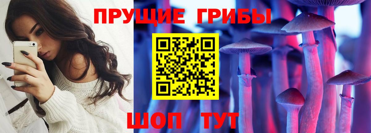 Галлюциногенные грибы MAGIC MUSHROOMS Богородск